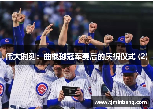 伟大时刻：曲棍球冠军赛后的庆祝仪式 (2)
