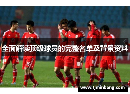 全面解读顶级球员的完整名单及背景资料