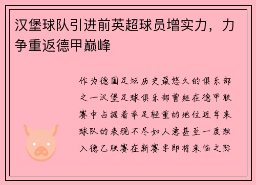 汉堡球队引进前英超球员增实力，力争重返德甲巅峰